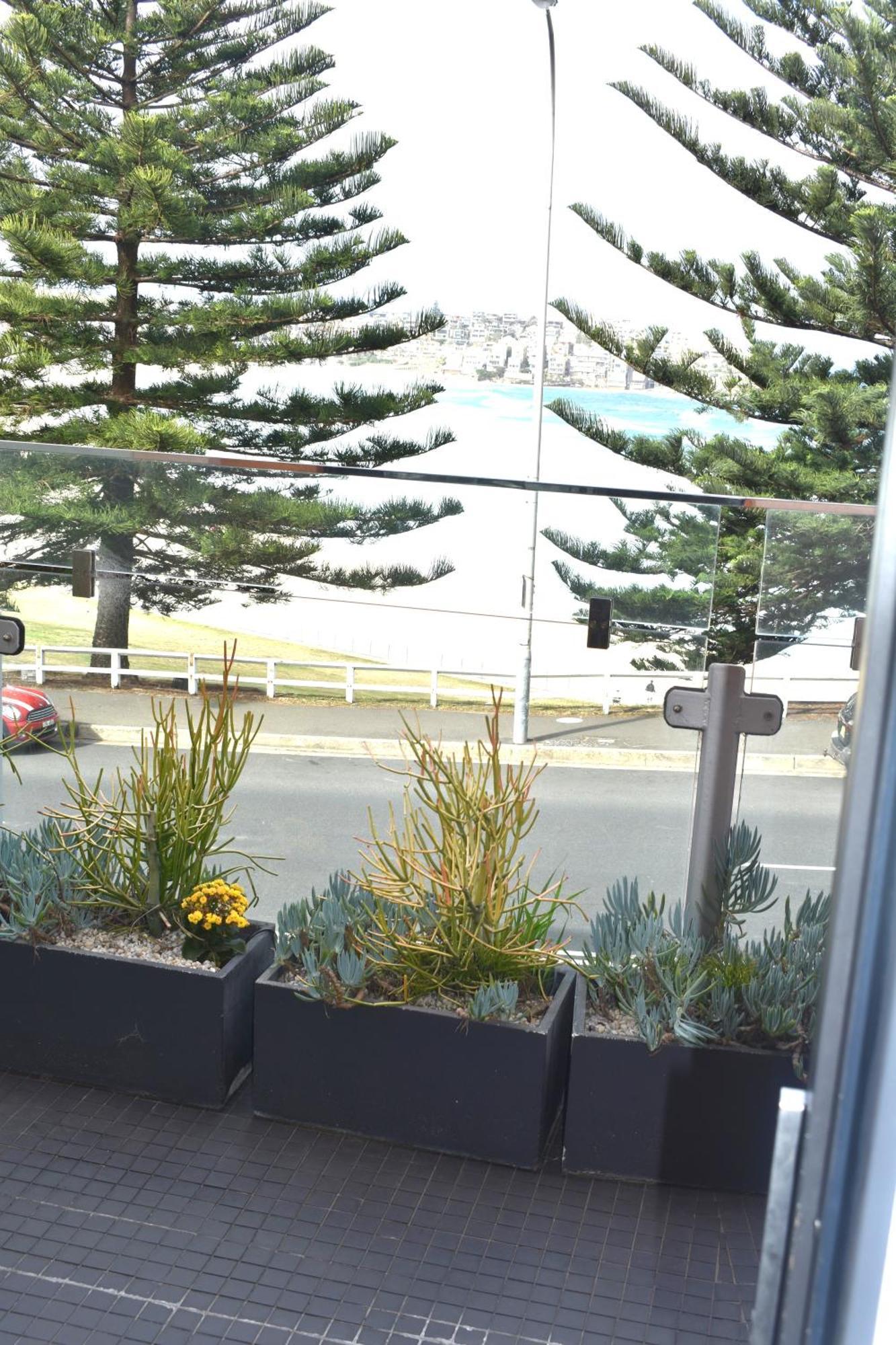 Bondi 38 Serviced Apartments Sydney Luaran gambar